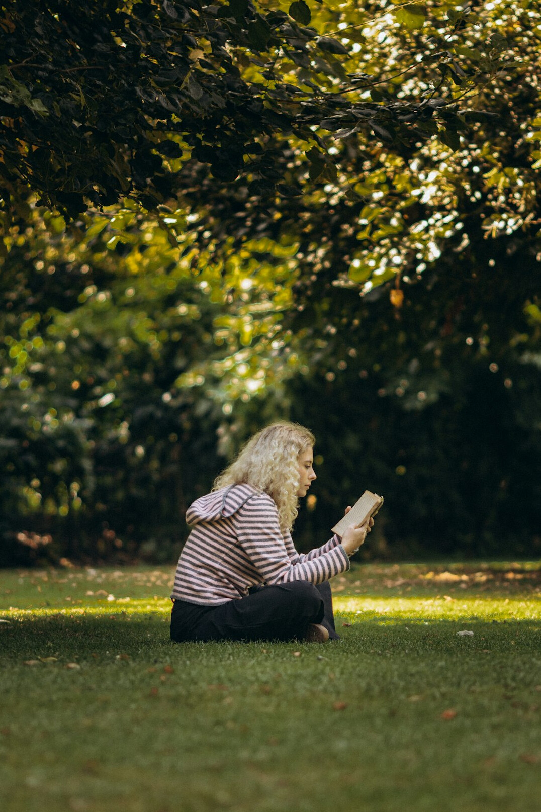 person reading book in park
