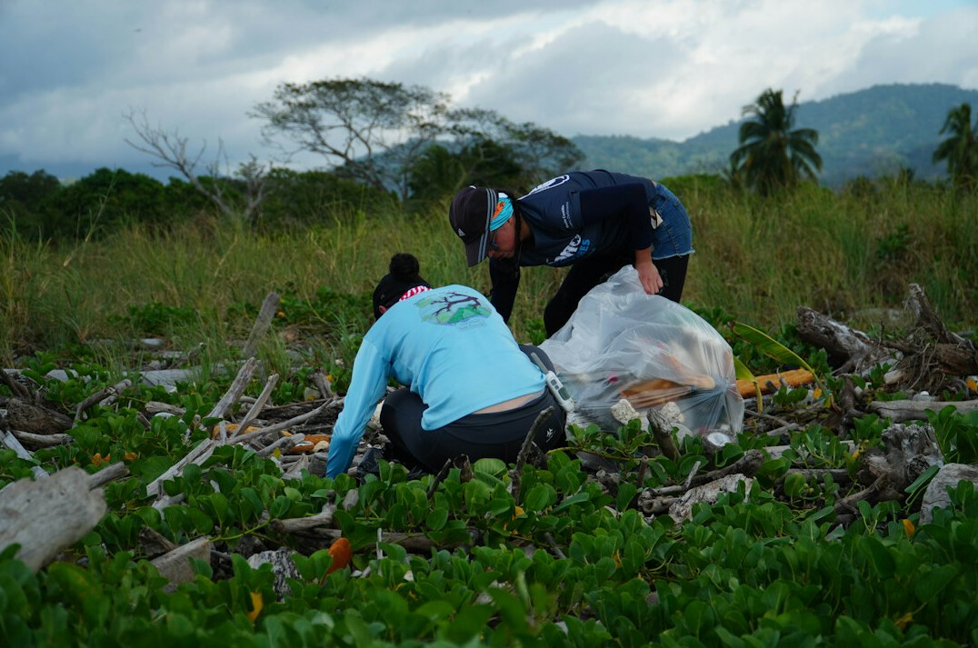 people planting trees in community